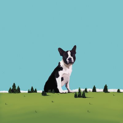 Boston Terrier, 2008 by Marjorie Weiss